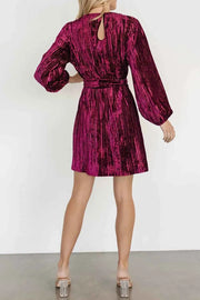 Velvet Round Neck Tie Waist Long Sleeve Mini Dress — view 2