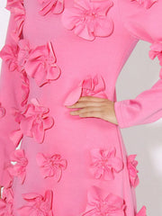 Floral Applique Long Sleeve Maxi Dress — view 8