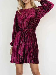 Velvet Round Neck Tie Waist Long Sleeve Mini Dress — view 4