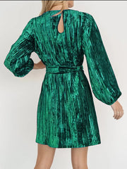 Velvet Round Neck Tie Waist Long Sleeve Mini Dress — view 7