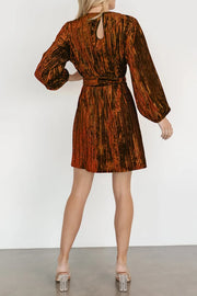 Velvet Round Neck Tie Waist Long Sleeve Mini Dress — view 11