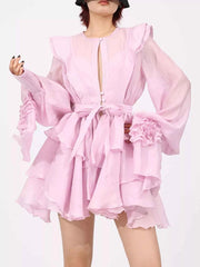 Ruffled Layered Long Sleeve Mini Dress — view 3