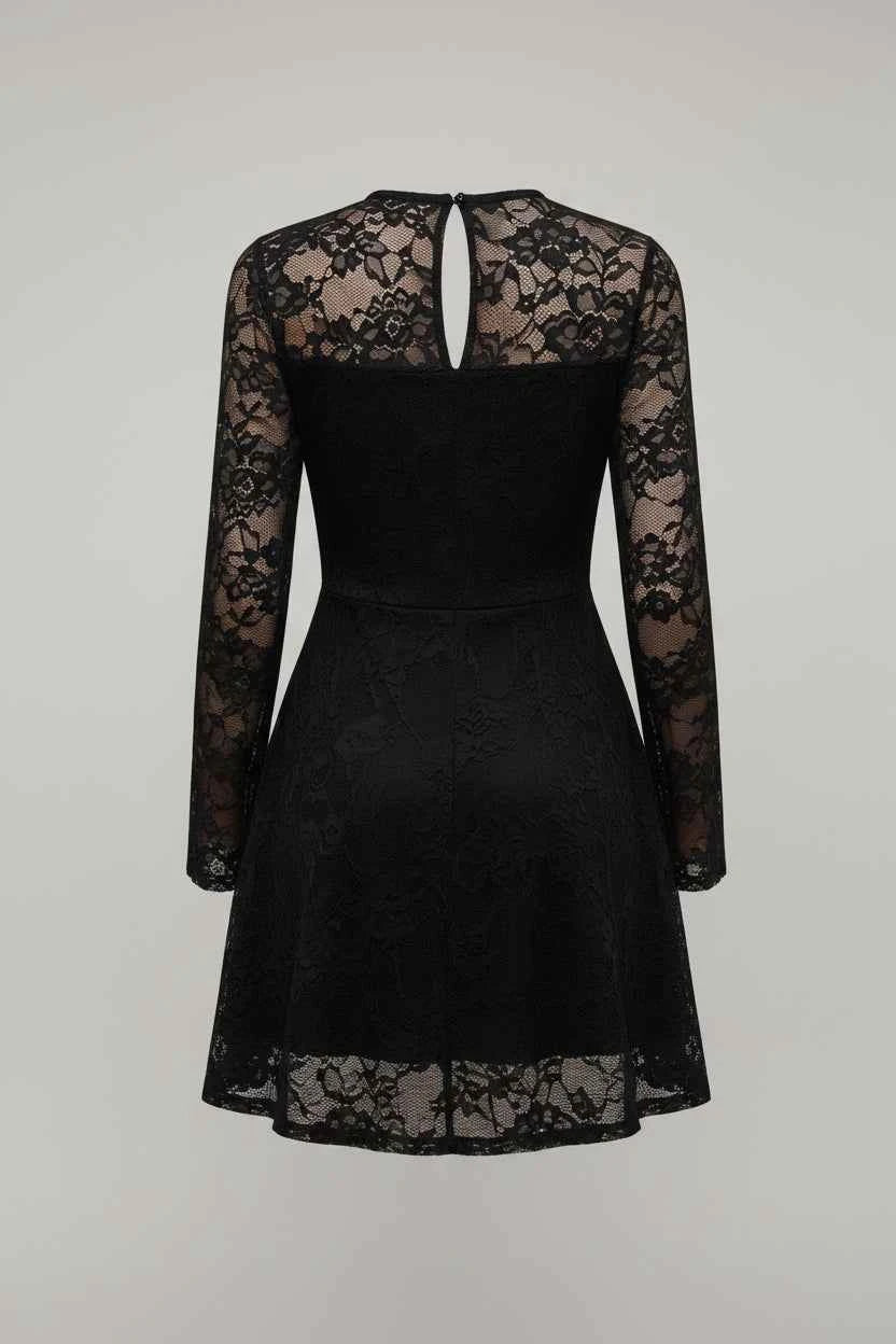 Elegant Lace Long Sleeve Mini Dress